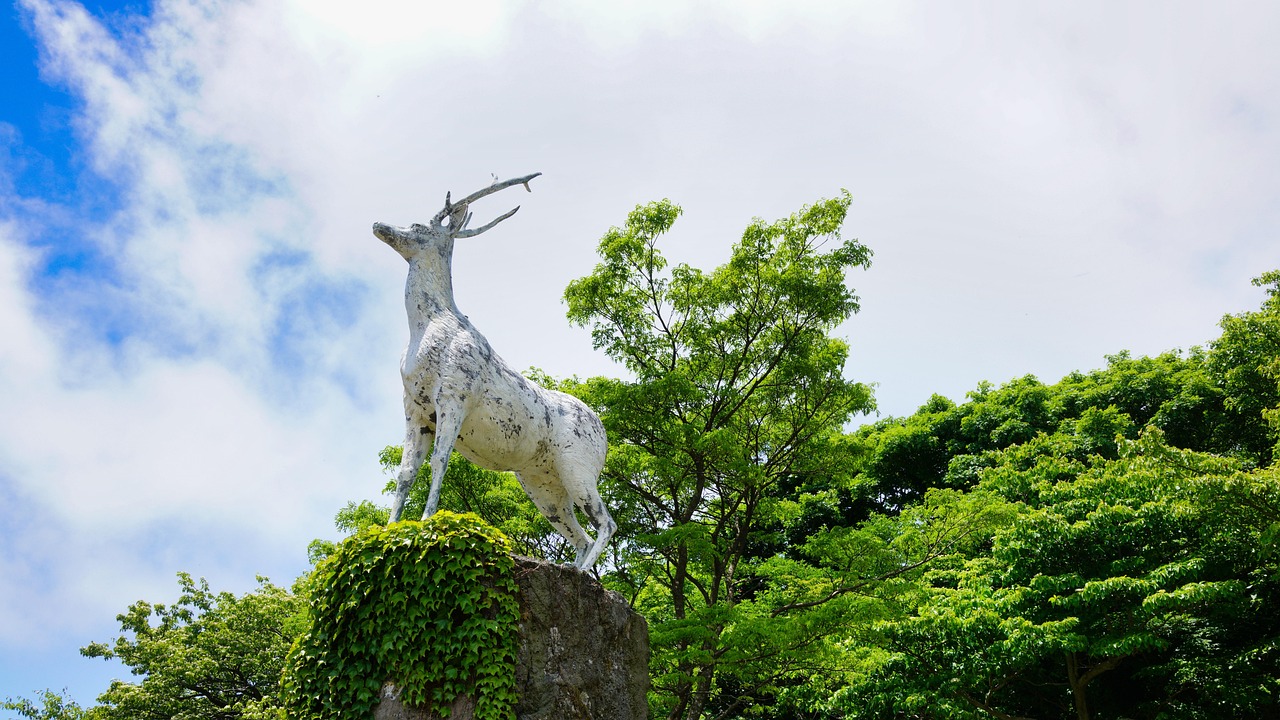 mythes rond hoogbegaafdheid deel 1