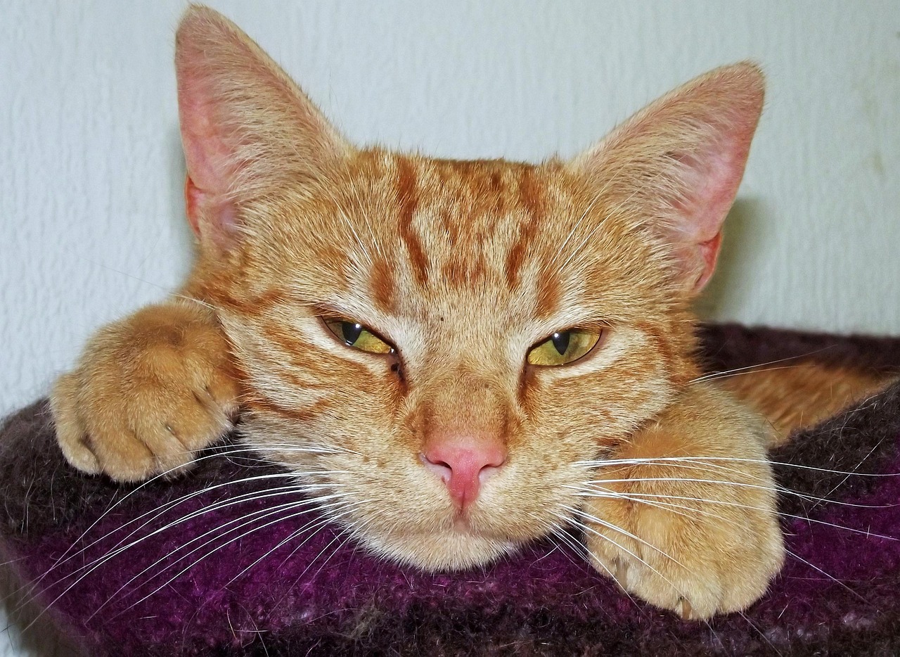 verveling kan slopend zijn