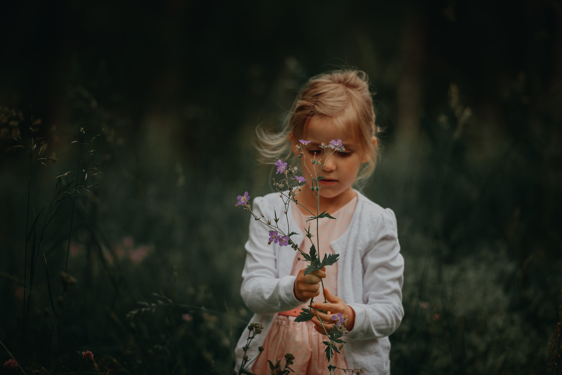 jonge hoogbegaafde kinderen advies