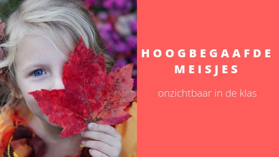 hoogbegaafde meisjes cursus