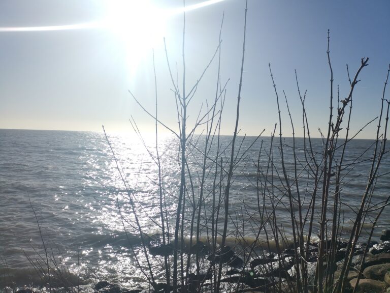 gouden omhelzing renata hamsikova