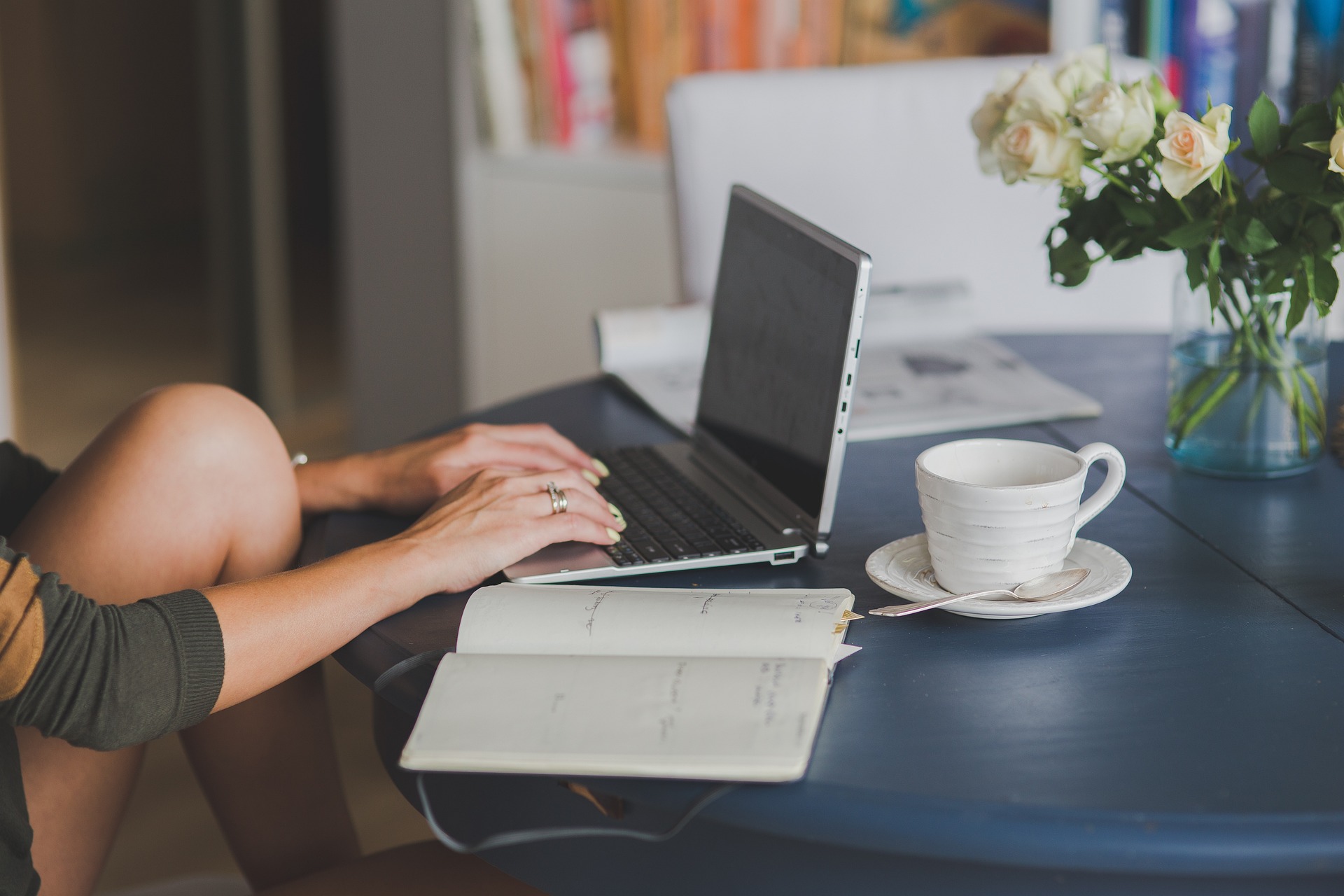 online leren Renata Hamsikova