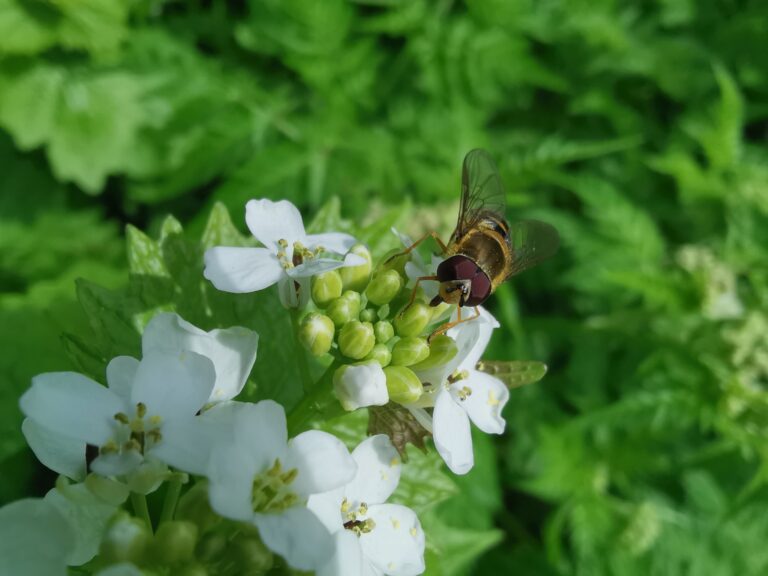 tijd voor jezelf Renata Hamsikova
