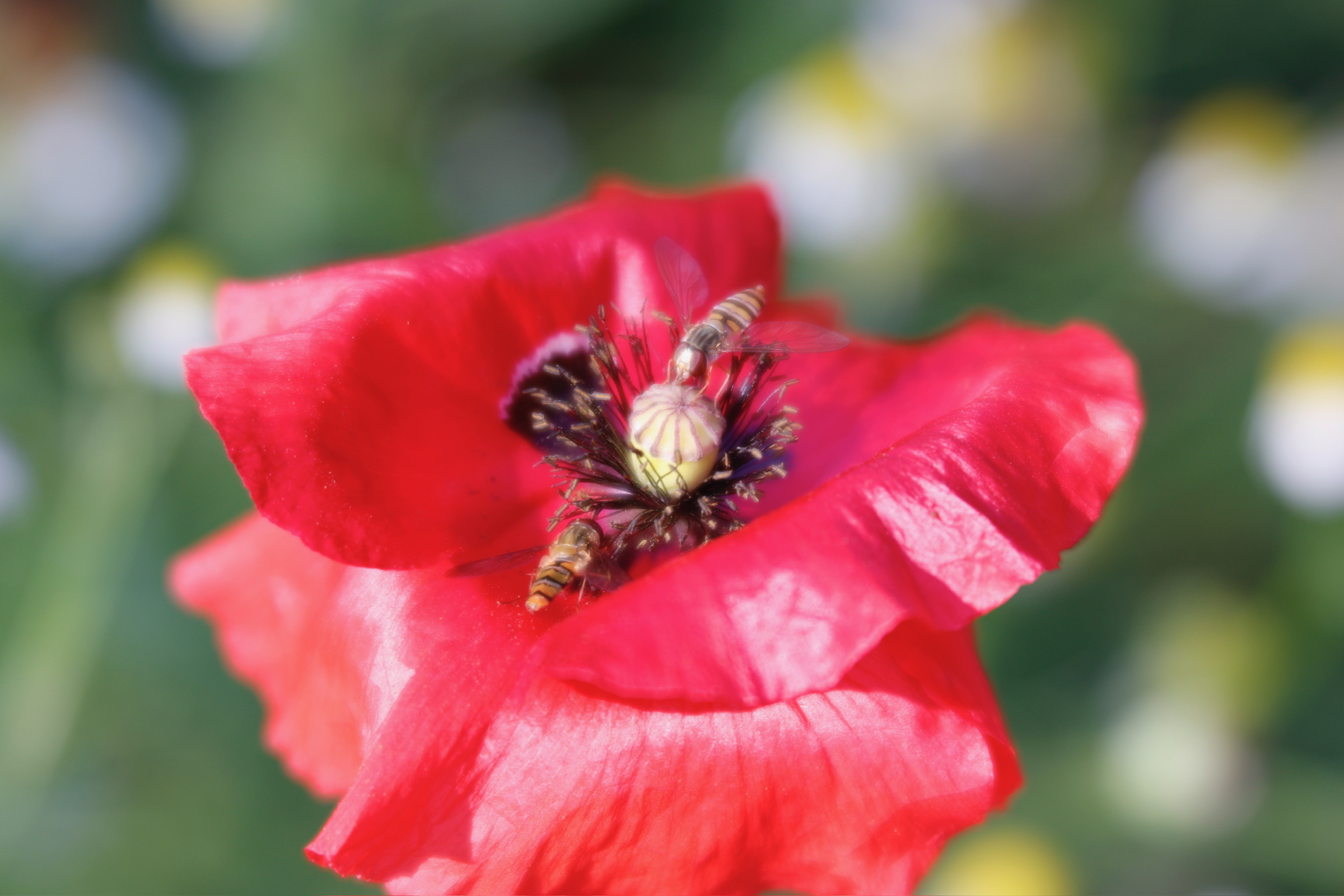 authenticiteit durven riskeren